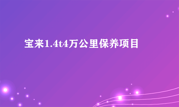 宝来1.4t4万公里保养项目