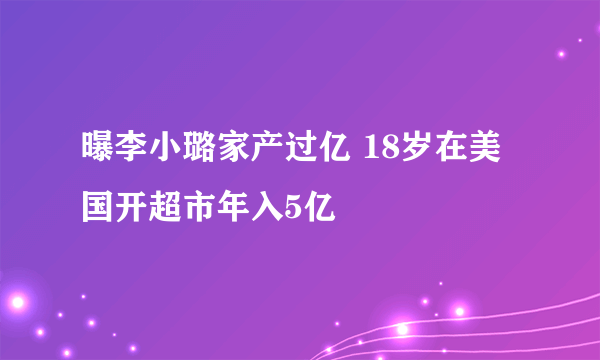 曝李小璐家产过亿 18岁在美国开超市年入5亿