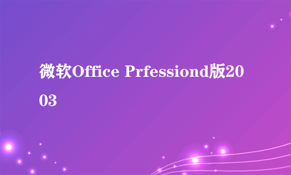 微软Office Prfessiond版2003