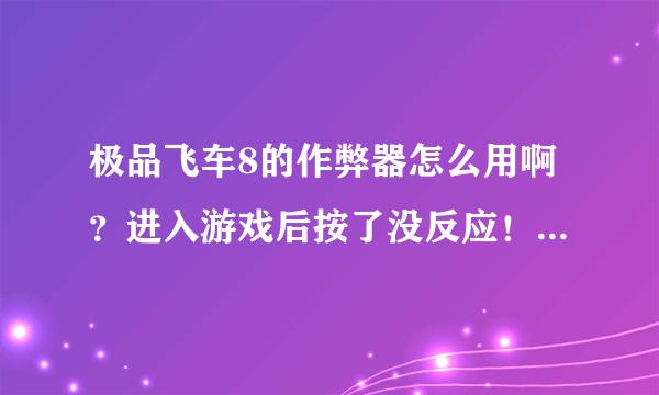 极品飞车8的作弊器怎么用啊？进入游戏后按了没反应！举个具体的例子好吗？