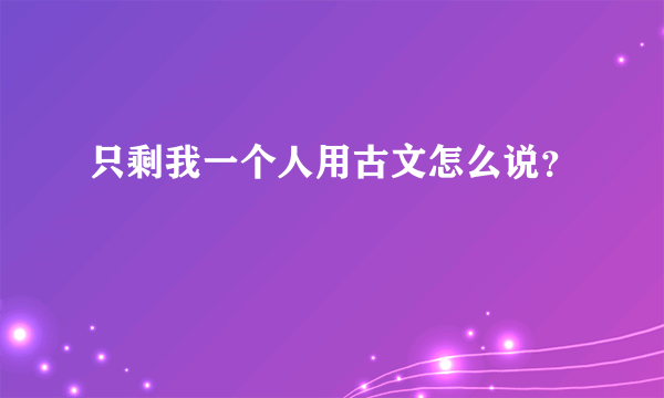 只剩我一个人用古文怎么说？