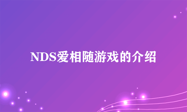 NDS爱相随游戏的介绍