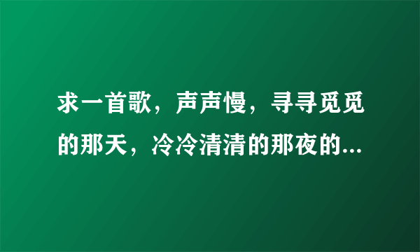 求一首歌，声声慢，寻寻觅觅的那天，冷冷清清的那夜的，这个？