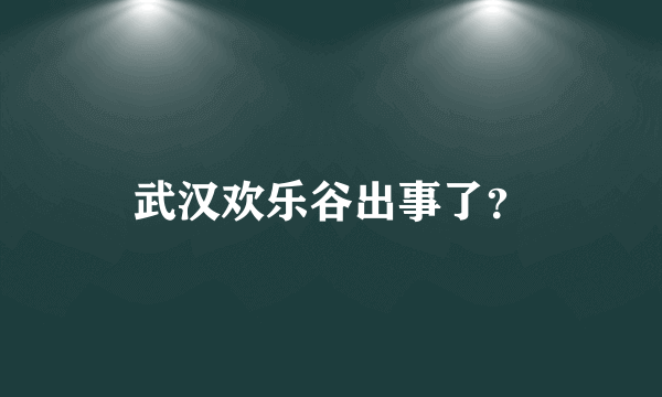 武汉欢乐谷出事了？