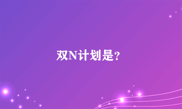 双N计划是？