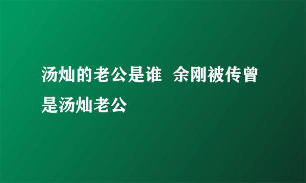 汤灿的老公是谁  余刚被传曾是汤灿老公