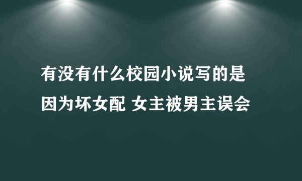 有没有什么校园小说写的是 因为坏女配 女主被男主误会