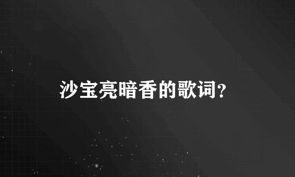 沙宝亮暗香的歌词？