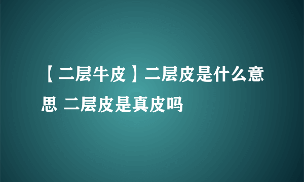 【二层牛皮】二层皮是什么意思 二层皮是真皮吗