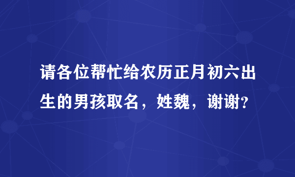 请各位帮忙给农历正月初六出生的男孩取名，姓魏，谢谢？