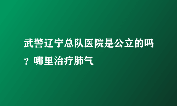 武警辽宁总队医院是公立的吗？哪里治疗肺气