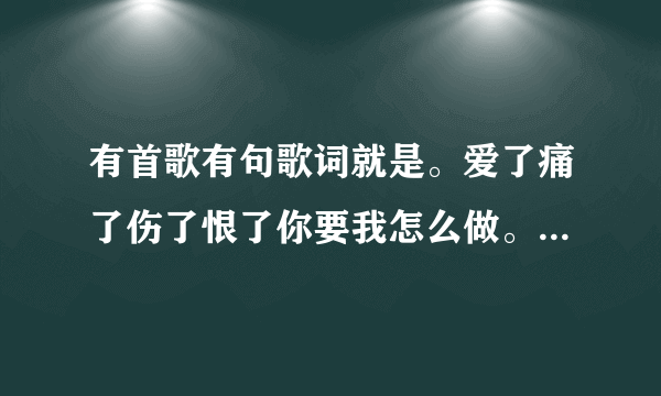 有首歌有句歌词就是。爱了痛了伤了恨了你要我怎么做。歌名叫啥？