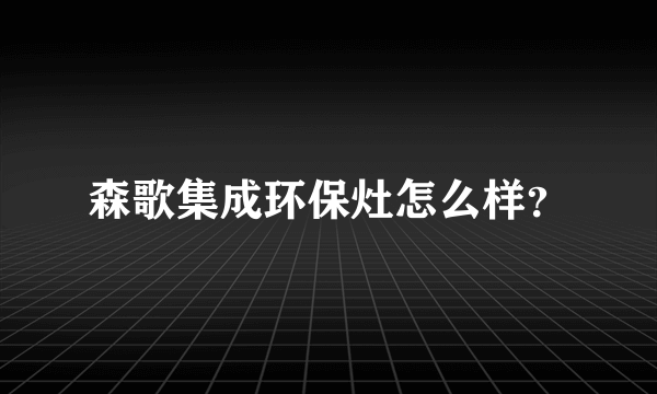 森歌集成环保灶怎么样？