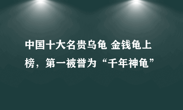 中国十大名贵乌龟 金钱龟上榜，第一被誉为“千年神龟”