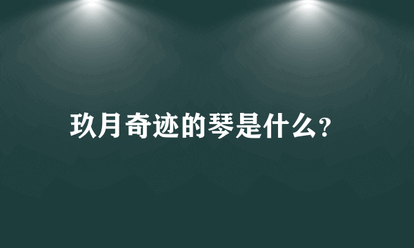 玖月奇迹的琴是什么？