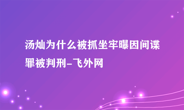 汤灿为什么被抓坐牢曝因间谍罪被判刑-飞外网