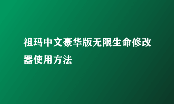 祖玛中文豪华版无限生命修改器使用方法