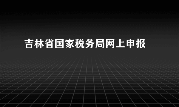 吉林省国家税务局网上申报 