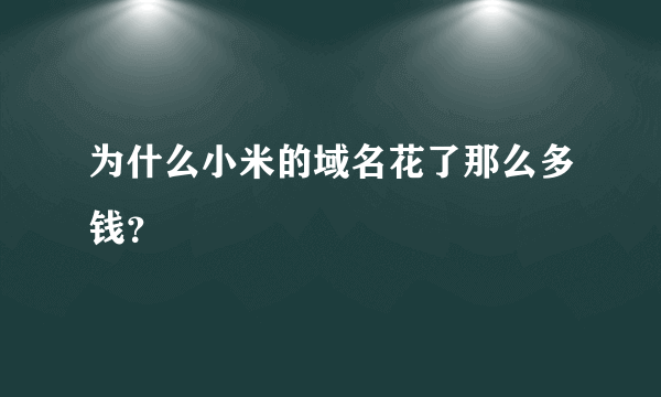 为什么小米的域名花了那么多钱？