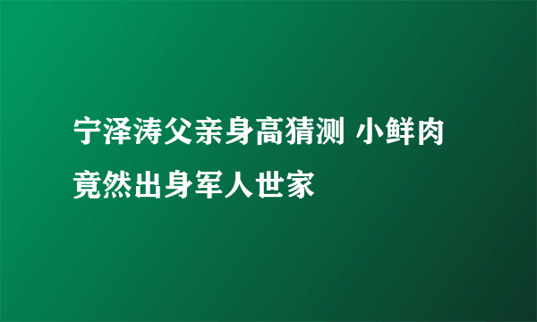 宁泽涛父亲身高猜测 小鲜肉竟然出身军人世家