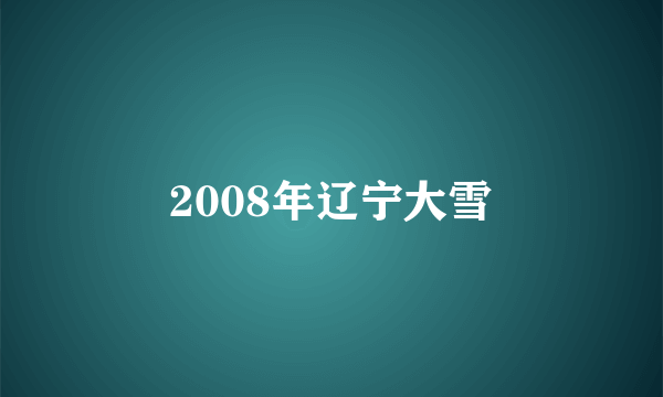 2008年辽宁大雪