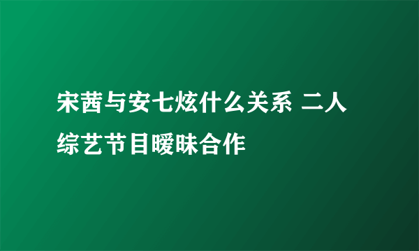 宋茜与安七炫什么关系 二人综艺节目暧昧合作