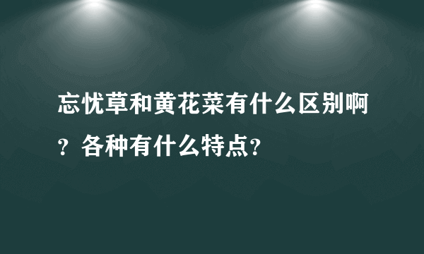 忘忧草和黄花菜有什么区别啊？各种有什么特点？