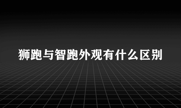 狮跑与智跑外观有什么区别