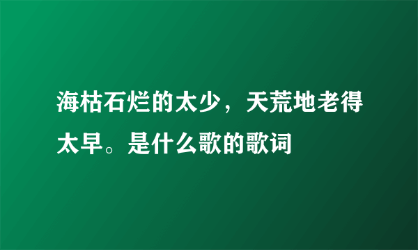 海枯石烂的太少，天荒地老得太早。是什么歌的歌词