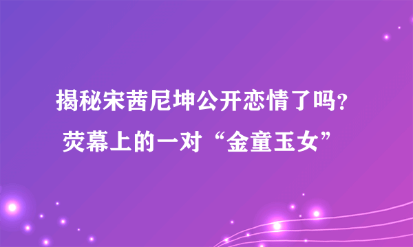 揭秘宋茜尼坤公开恋情了吗？ 荧幕上的一对“金童玉女”