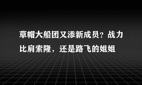 草帽大船团又添新成员？战力比肩索隆，还是路飞的姐姐