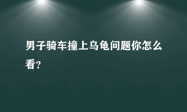 男子骑车撞上乌龟问题你怎么看？