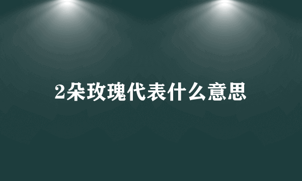 2朵玫瑰代表什么意思