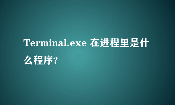 Terminal.exe 在进程里是什么程序?