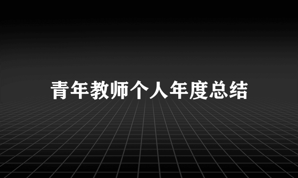 青年教师个人年度总结