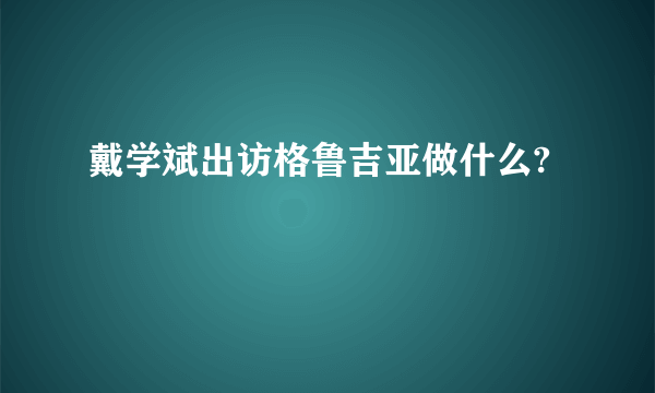 戴学斌出访格鲁吉亚做什么?