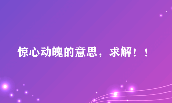 惊心动魄的意思，求解！！