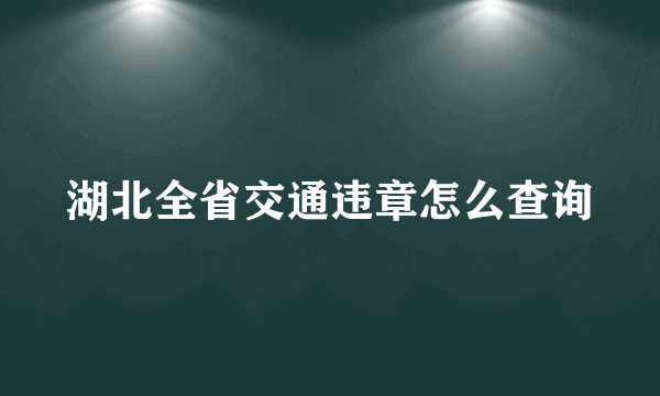 湖北全省交通违章怎么查询