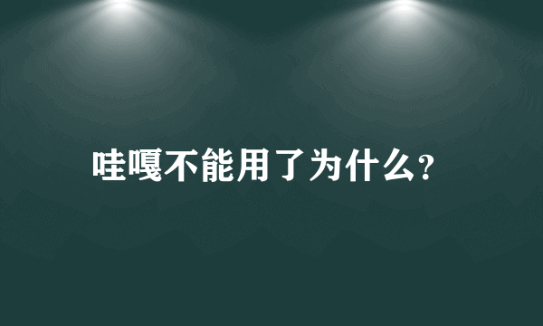 哇嘎不能用了为什么？