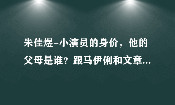 朱佳煜-小演员的身价，他的父母是谁？跟马伊俐和文章的关系是什么？（小爸爸）电视剧