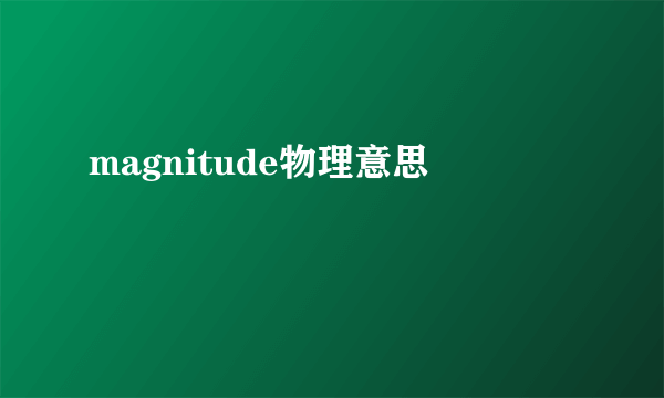 magnitude物理意思