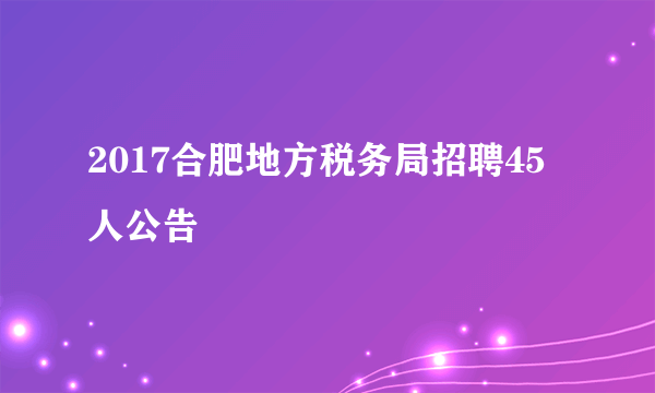 2017合肥地方税务局招聘45人公告