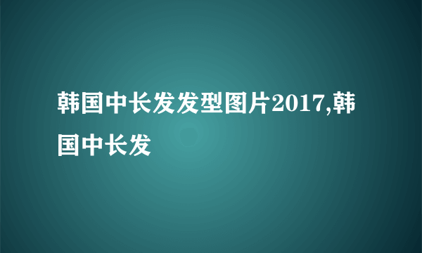 韩国中长发发型图片2017,韩国中长发