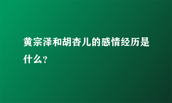 黄宗泽和胡杏儿的感情经历是什么？