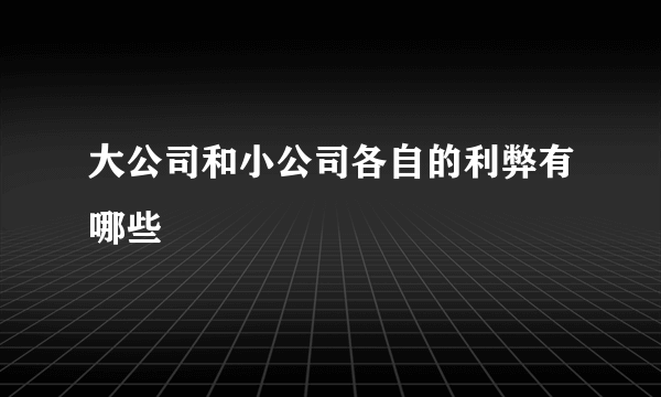 大公司和小公司各自的利弊有哪些