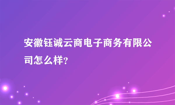 安徽钰诚云商电子商务有限公司怎么样？