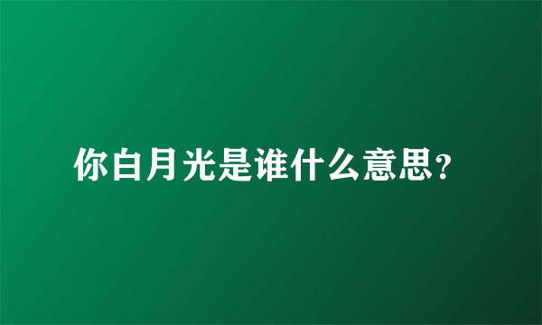 你白月光是谁什么意思？