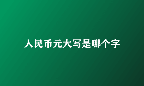 人民币元大写是哪个字