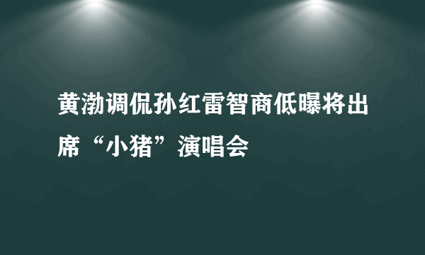 黄渤调侃孙红雷智商低曝将出席“小猪”演唱会