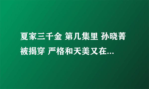 夏家三千金 第几集里 孙晓菁被揭穿 严格和天美又在一起的？